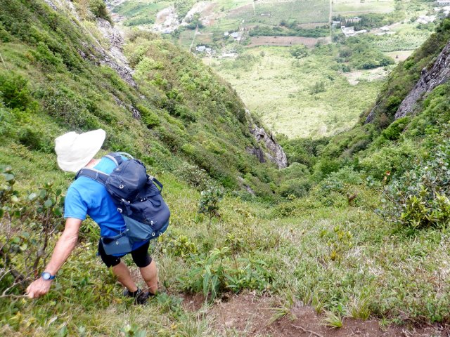 Entamer la descente en se maintenant aux petits goyaviers