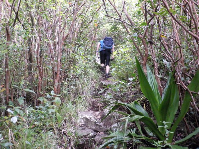 On grimpe d'un mètre tous les quatre pas