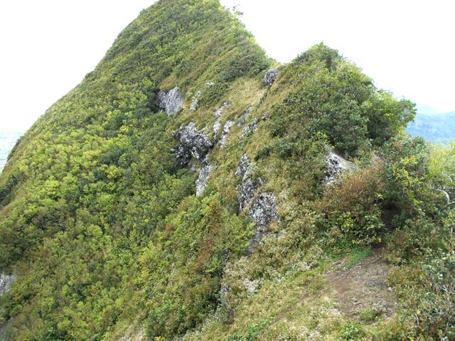 L'arrivée du sentier au col, point de retour