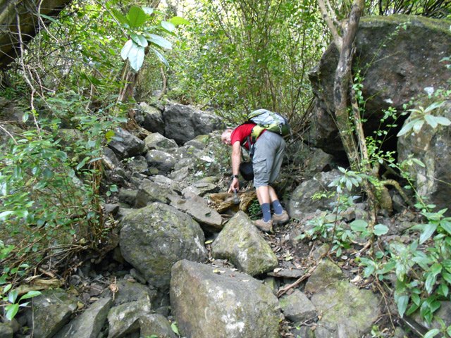 Le pierrier est à près de 50% de pente