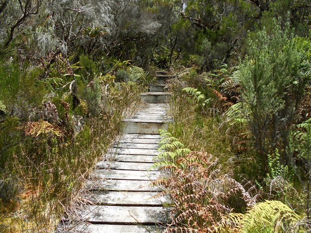 Peu de planchers par rapport à la difficulté du sentier