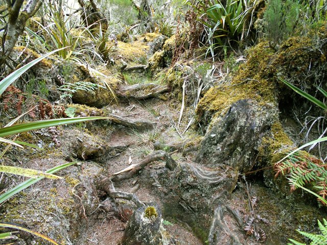 La montée sous les branles est également sportive