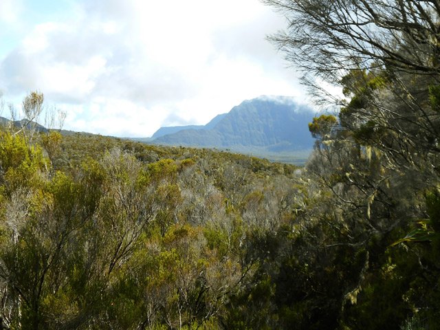 Le Coteau Monique et le Mazerin aperçus dans les trouées