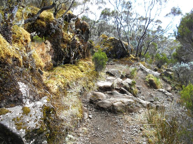 L'arrivée au Kerveguen s'effectue sur des cailloux