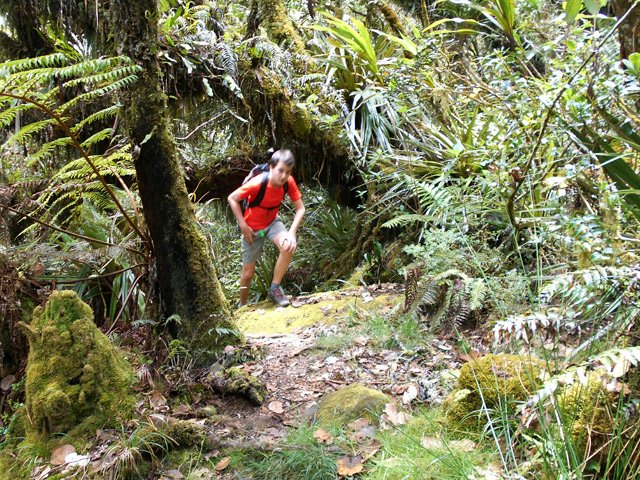 Sentier facile à suivre, même sans balise