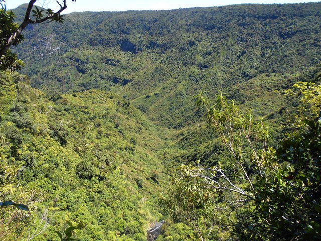 La vallée verdoyante est magnifique