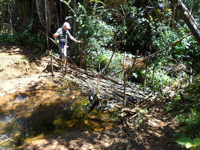 Passerelle rustique pour franchir un petit ruisseau
