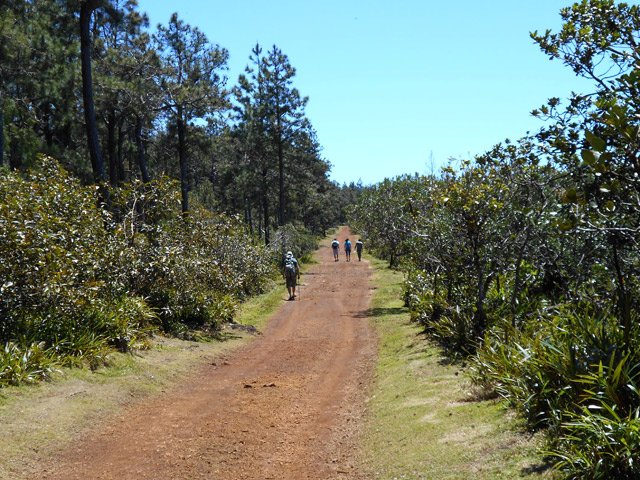 Piste très ensoleillée mais agréable