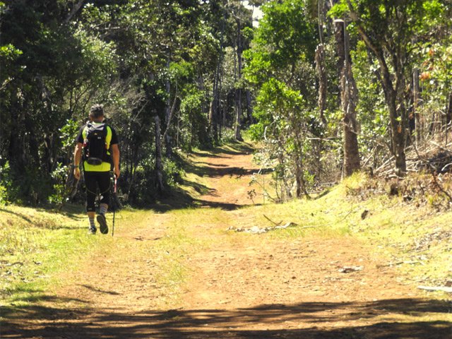 Piste toujours agréable dans les bois de couleurs