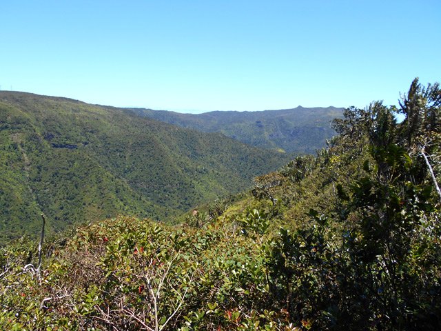 Quelques panoramas permettent de voir au loin le Piton de la Petite Rivière Noire