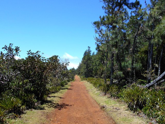 La piste est comme souvent assez rectiligne