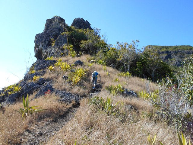La pente s'intensifie dans une végétation rabougrie