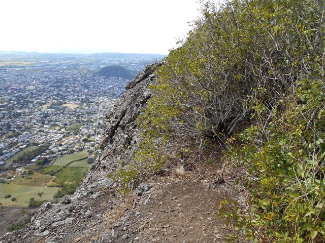 Poursuite vers le 2ème sommet par un sentier mi-crête, mi-forêt