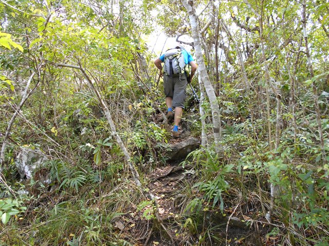 La partie forestière est facile et presque plate