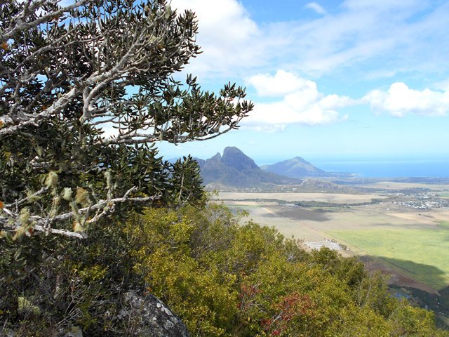 La végétation du flanc ouest est composée de bois de couleurs