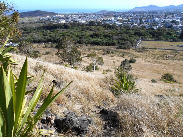 Le terrain de sport diminue de grandeur. La ville de Rose-Hill