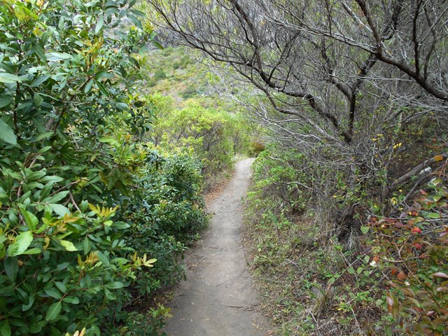 Le sentier est plat mais cela ne durera pas