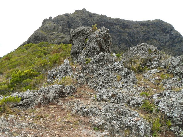 Petit coup d’œil sur le chemin parcouru
