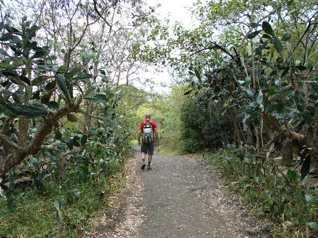 la piste débute entre les figuiers de barbarie