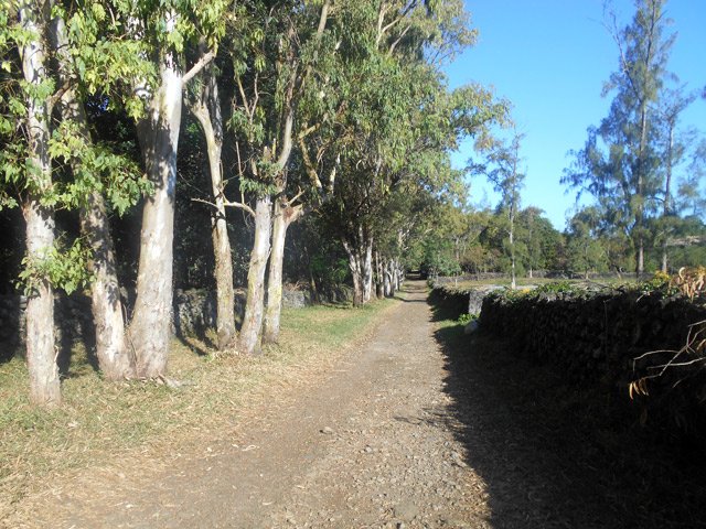 Se garer sous les eucalyptus pour rallonger un peu la balade