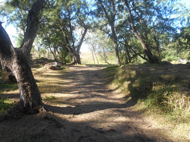 Très belles pistes ombragées un peu partout