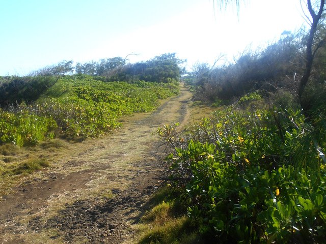 La piste vers l'ouest du Souffleur