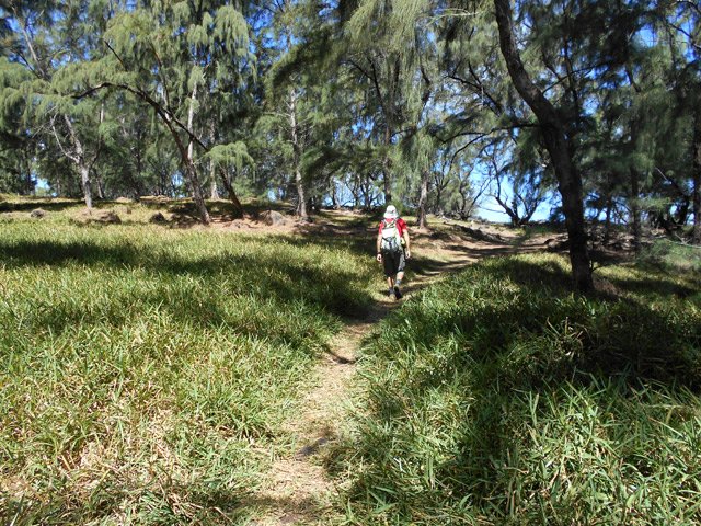 Un autre sentier dans les herbes sous les filaos