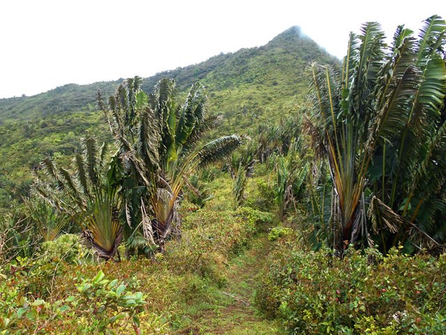 Le sommet est proche