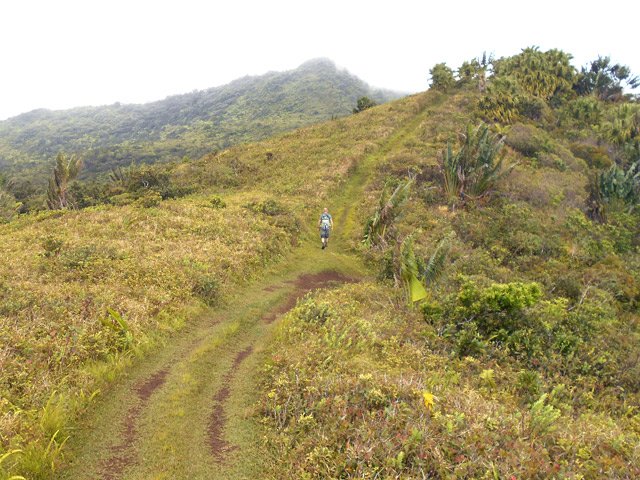 Une énième petite pente avant d'attaquer la dernière montée