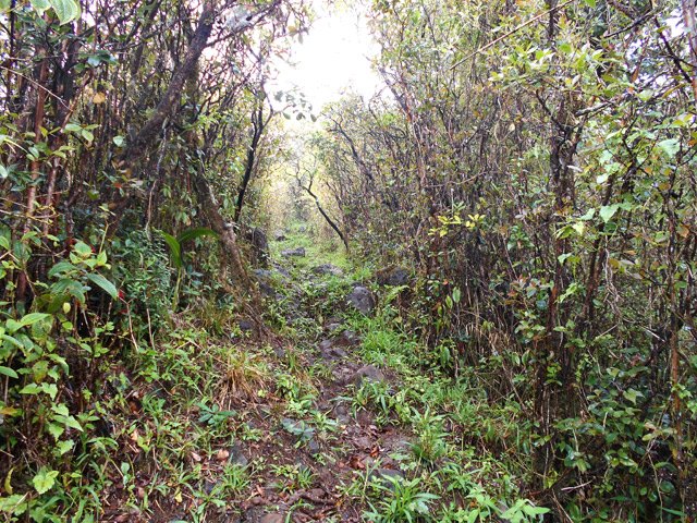 Les cailloux sont de plus en plus nombreux