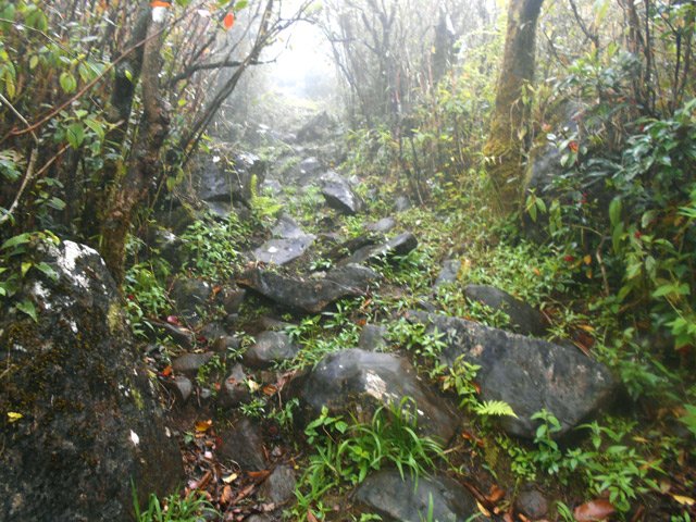 Mouillées, ces roches deviennent très glissantes