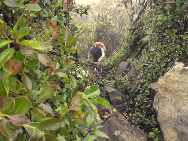 Les 10 derniers mètres sont presque de l'escalade pour rejoindre le sommet