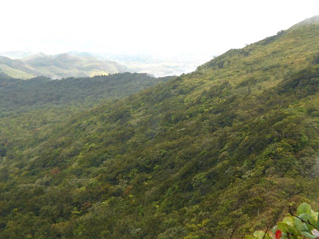 Le sentier se poursuit sur le prochain piton