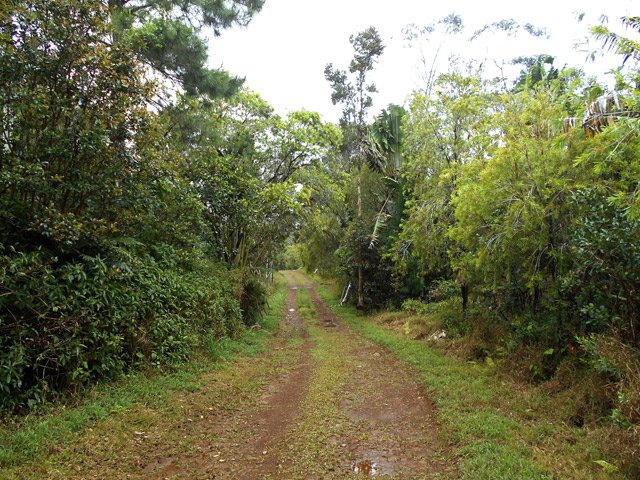 Même sous la pluie, la piste est agréable
