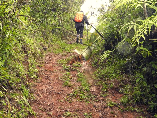 Sous la pluie, le sentier est une patinoire