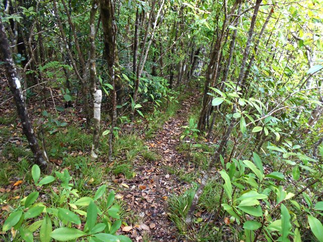 Le sentier est plus étroit mais facile à suivre
