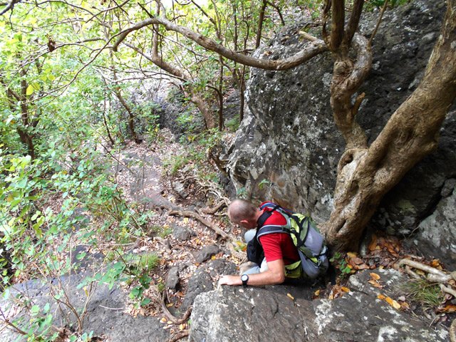 Les racines s'avèrent très utiles pour la descente