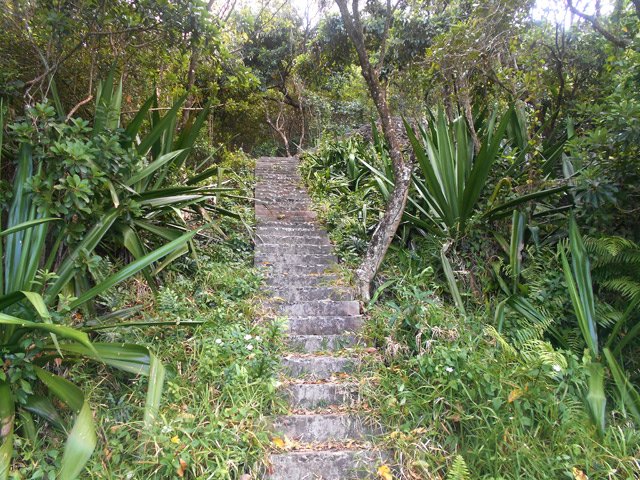 Après les cannes et canaux, un long escalier d'une centaine de marches