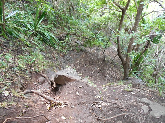 La photo ne restitue pas la forte pente du sentier