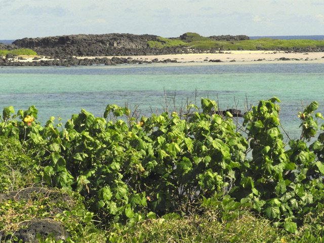 Le lagon est ici très étroit