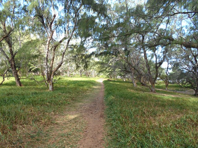 Les nombreux passages prouvent la fréquentation de ce lieu