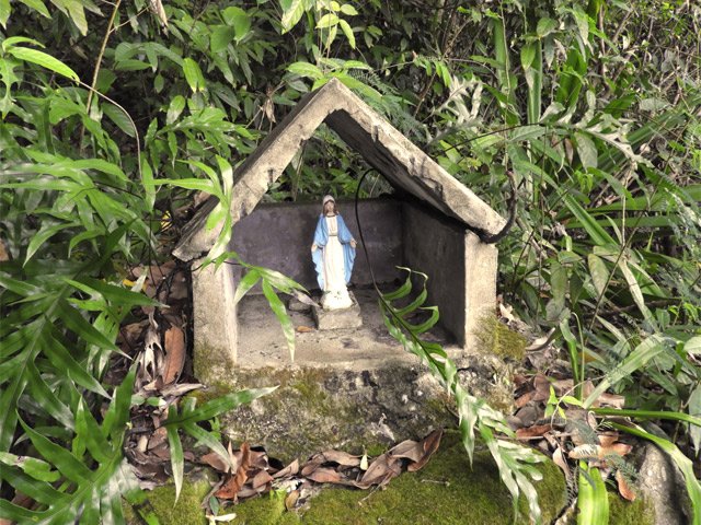 Un petit oratoire sous un manguier confirme le bon itinéraire