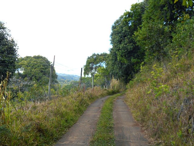 Toujours ces hauts grillages pour marquer les limites de domaines