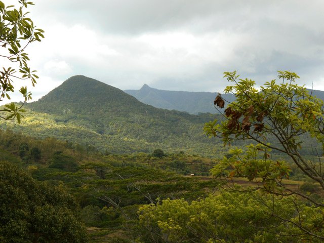 Point de vue sur le domaine de chasse et le Piton de la Petite Rivière Noire au loin