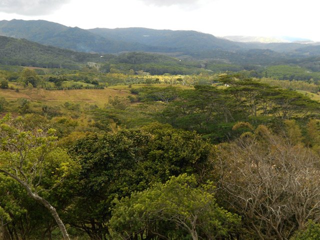 Ces grandes étendues cachent toutes sortes de gibier