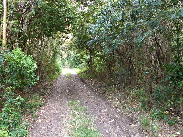 La piste rectiligne qui rejoint le pied de la montagne