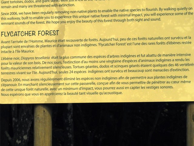 La visite organisée de la forêt d'ébène semble être tombée dans l'oubli