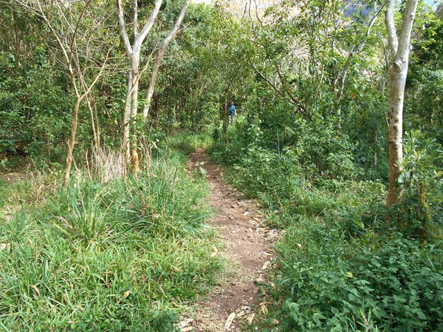 A la fin de la piste, prendre le sentier tout droit