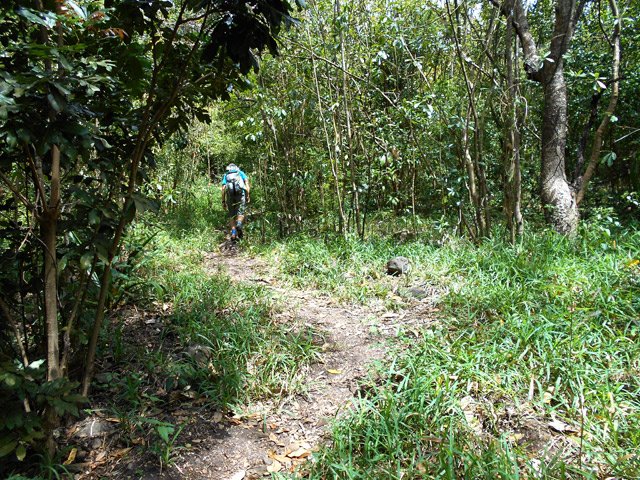 Il est bien marqué dès le départ