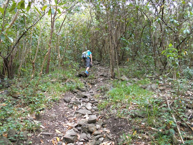 Plus loin, il devient très caillouteux
